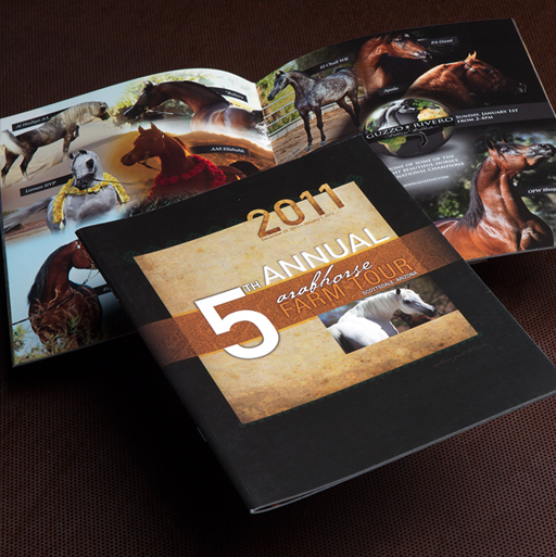 ARABIAN HORSE ASSCIATION Brochure